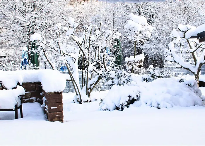 Altschloss דירה Eppenbrunn