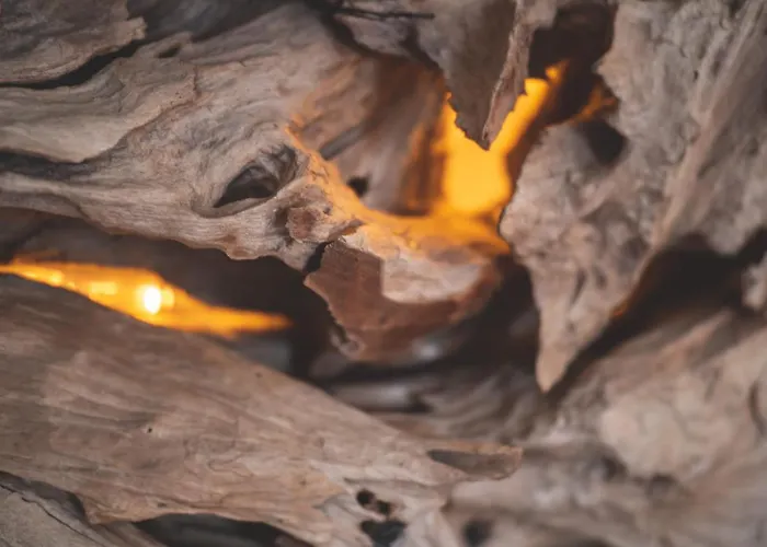 דירה Altschloss Eppenbrunn